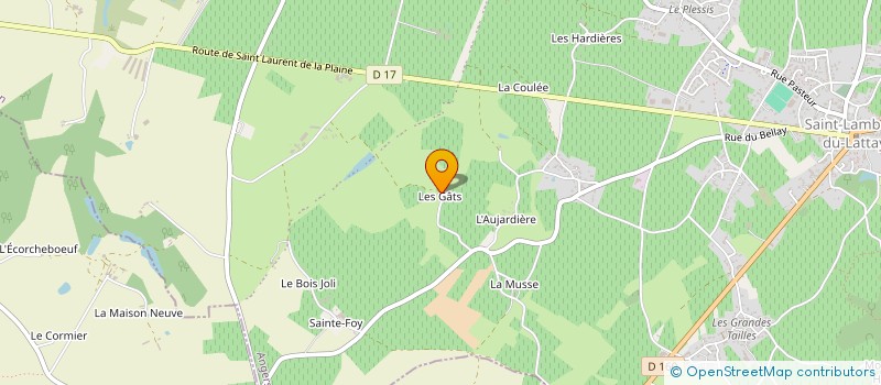 localisation de l'entreprise BERTHEL SOLUTIONS VENTES  CHEMILLE-EN-ANJOU