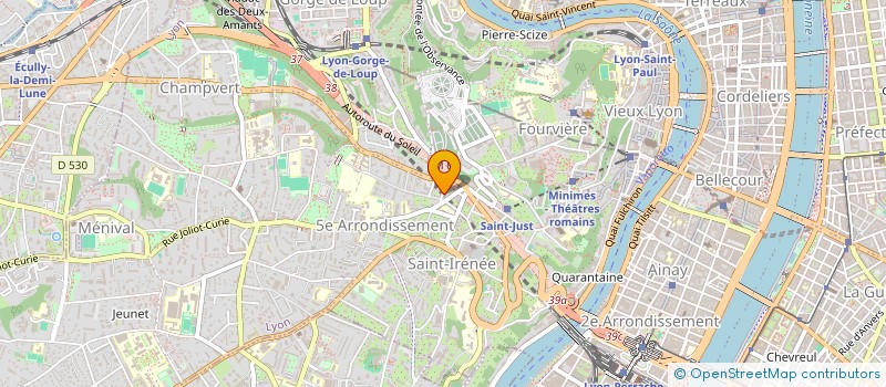 localisation de l'entreprise BERTHUIT BENJAMIN ET VENET LORIS à LYON