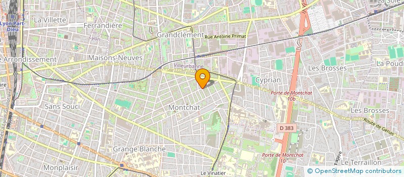 localisation de l'entreprise BERTIN BOUSSU BROTHERS  LYON