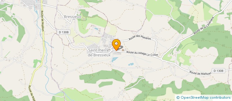 localisation de l'entreprise BERTOLINI  SAINT-PIERRE-DE-BRESSIEUX