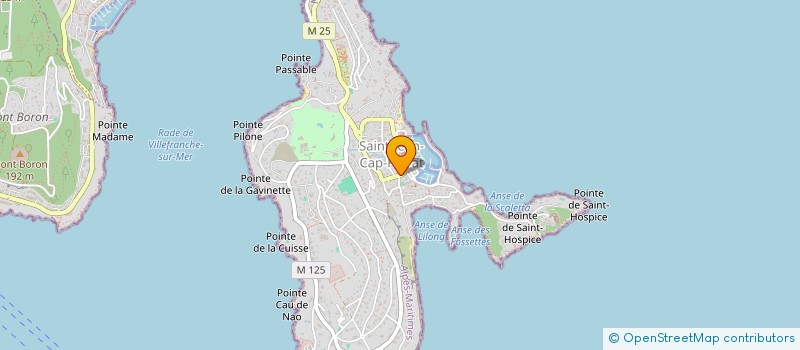 localisation de l'entreprise BERTOLINO ET CALLOCH  SAINT-JEAN-CAP-FERRAT