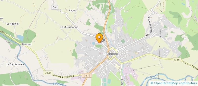 localisation de l'entreprise BESSAC TRAVAUX PUBLIC ET CARRIERES à REALMONT