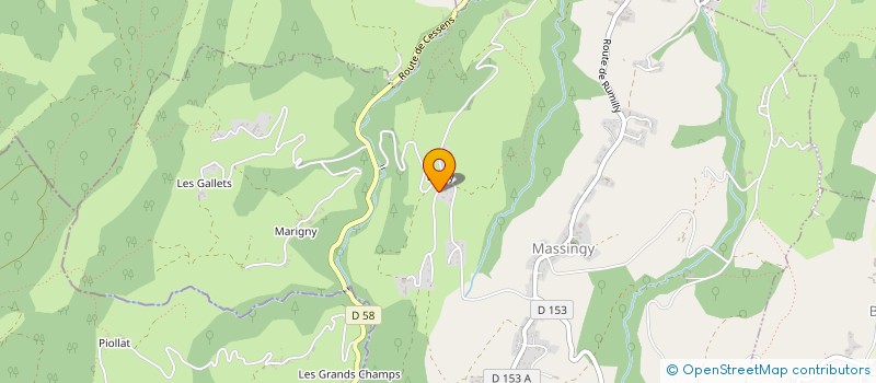 localisation de l'entreprise BESSON  MASSINGY