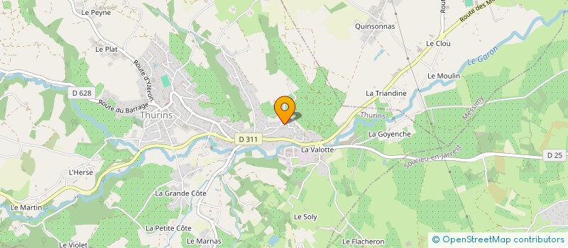 localisation de l'entreprise BESSON DING  THURINS