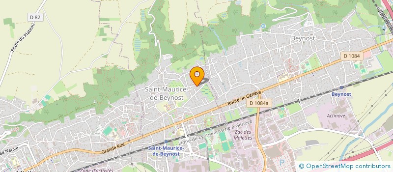 localisation de l'entreprise BESSON DUTHY  SAINT-MAURICE-DE-BEYNOST