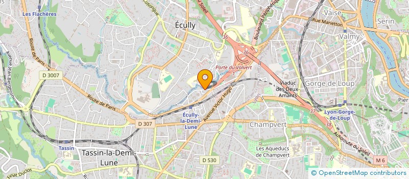 localisation de l'entreprise BEST ART  TASSIN-LA-DEMI-LUNE