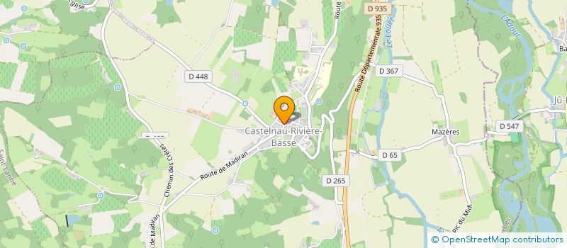 localisation de l'entreprise BEST IMMO 65  CASTELNAU-RIVIERE-BASSE