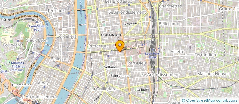 localisation de l'entreprise BETH DAVID  LYON