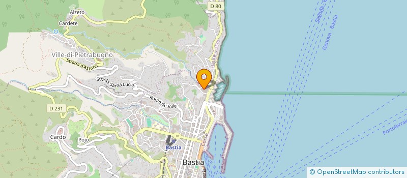 localisation de l'entreprise BG CONSEIL à BASTIA