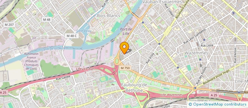 localisation de l'entreprise BG SERVICE à LILLE