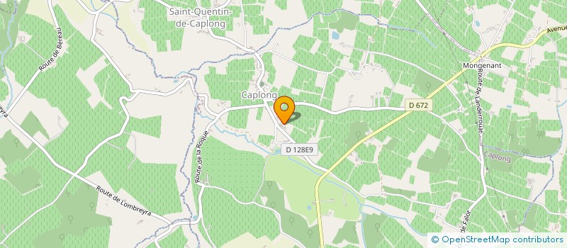 localisation de l'entreprise BGCCATERING  SAINT-QUENTIN-DE-CAPLONG