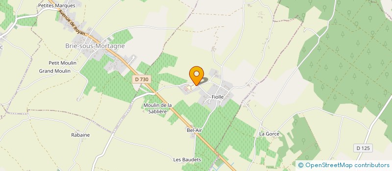 localisation de l'entreprise BGP ALLIANCE-FLOIRAC  FLOIRAC