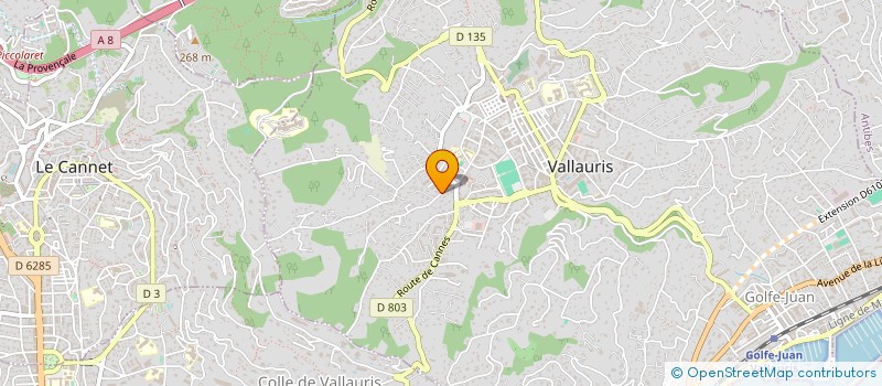 localisation de l'entreprise BH-FIBRE OPTIQUE à VALLAURIS