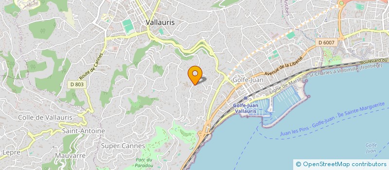 localisation de l'entreprise BHBOLIGINVEST  VALLAURIS