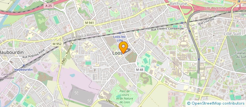 localisation de l'entreprise BHILS INVEST  LOOS