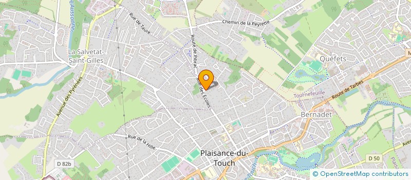 localisation de l'entreprise BHM CONSEIL ET FORMATION  PLAISANCE-DU-TOUCH