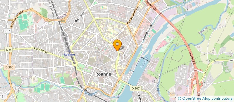 localisation de l'entreprise BIANCHI CONCEPT PISCINE  ROANNE