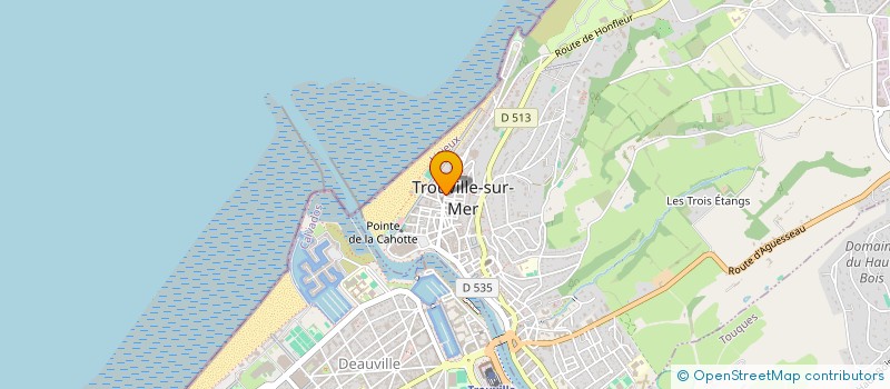 localisation de l'entreprise BIBLIOTHEQUE DES BAIGNEURS à TROUVILLE-SUR-MER