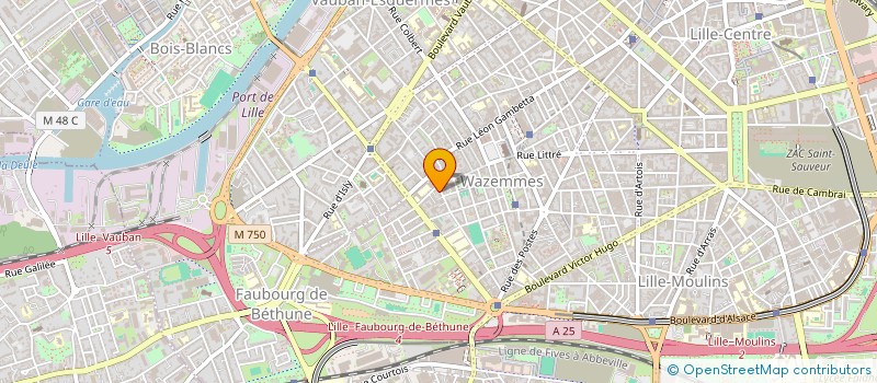 localisation de l'entreprise BIBOUILLE ET LE CIRQUE DE POCHE à LILLE