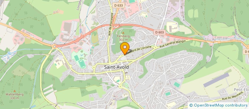 localisation de l'entreprise BICHON  SAINT-AVOLD