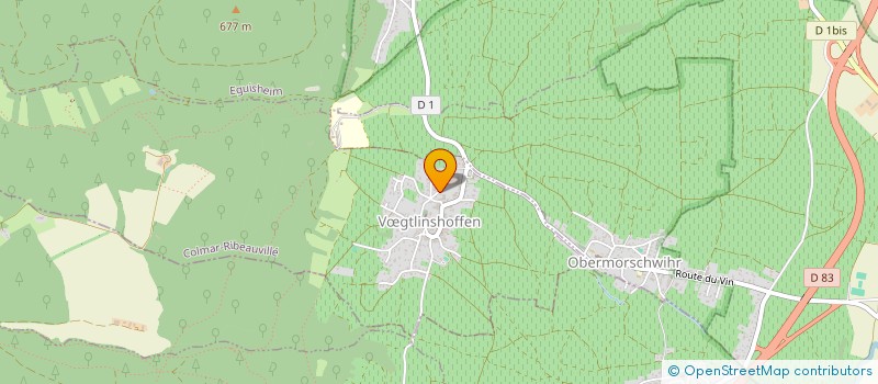 localisation de l'entreprise BICYCLETTE GO  VGTLINSHOFFEN