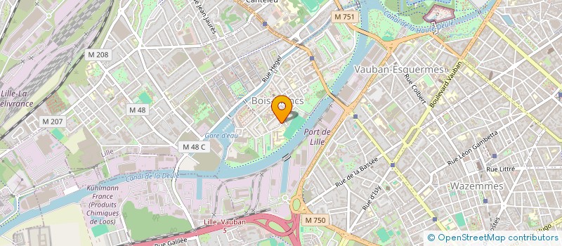 localisation de l'entreprise BIDULES COMPANY  LILLE