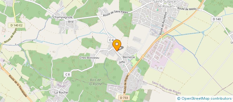 localisation de l'entreprise BIG'AIR SKYDIVING  SAINT-SULPICE-DE-ROYAN