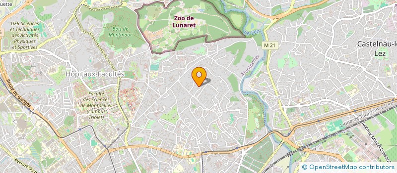 localisation de l'entreprise BIG APPLE à MONTPELLIER