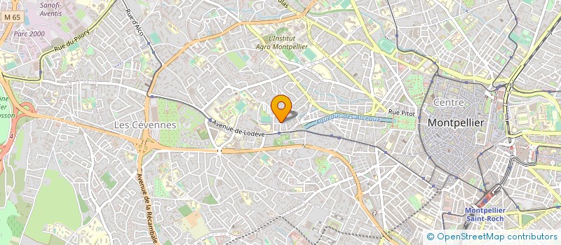localisation de l'entreprise BIG FOUILLES à MONTPELLIER