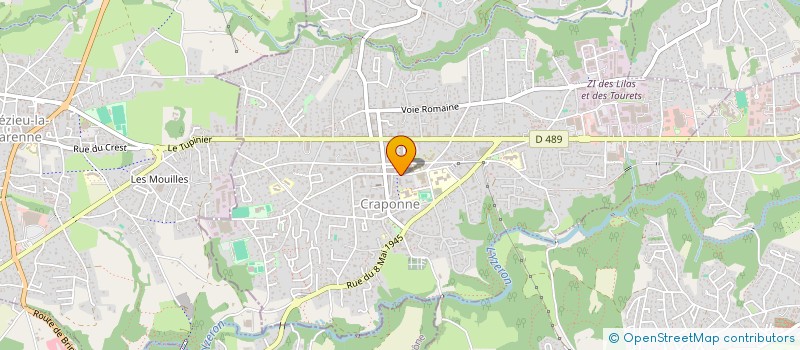 localisation de l'entreprise BIGIZ  CRAPONNE