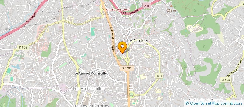 localisation de l'entreprise BIGMONSTER à LE CANNET