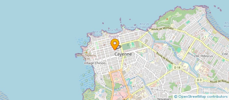 localisation de l'entreprise BIJOUTERIE BILLY TATOO  CAYENNE
