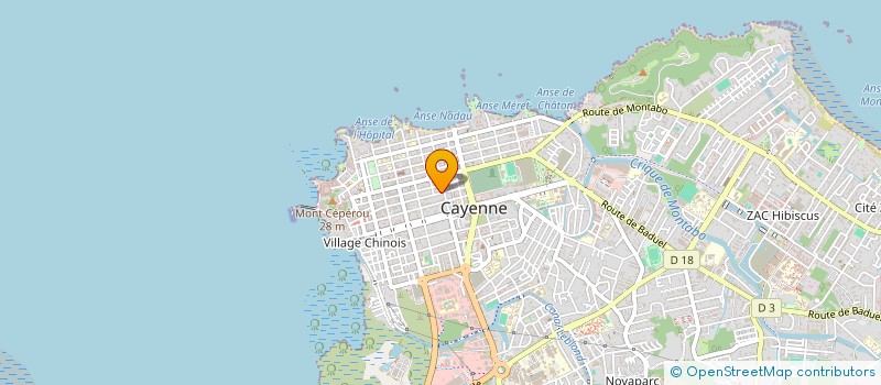 localisation de l'entreprise BIJOUX ET OR DE GUYANE à CAYENNE