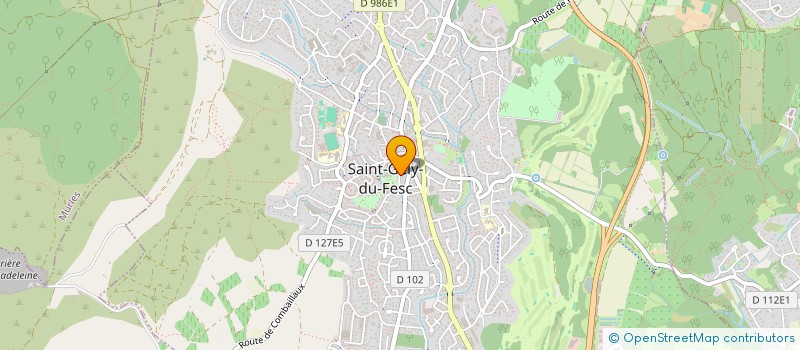 localisation de l'entreprise BIL PIZZA STGF  SAINT-GELY-DU-FESC