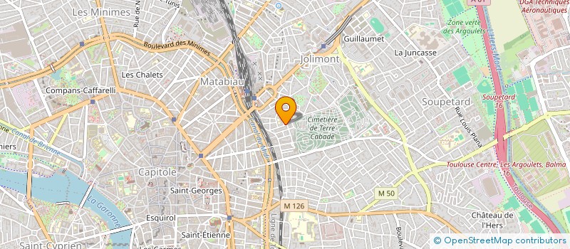 localisation de l'entreprise BILINGUE à TOULOUSE
