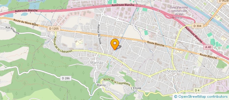 localisation de l'entreprise BILLARDY  MARNAZ