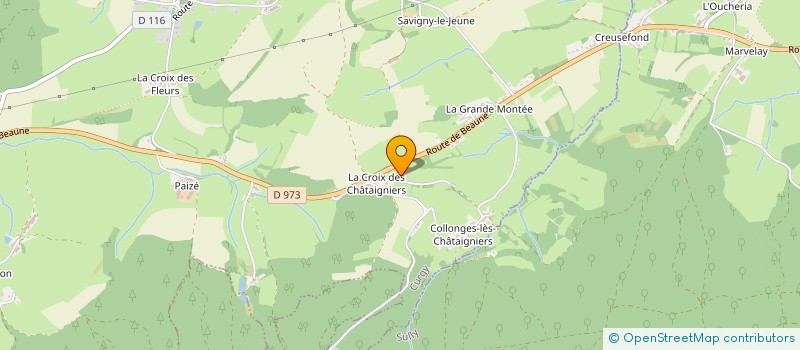 localisation de l'entreprise BILLET RAYMOND ET BILLET PAUL  CURGY