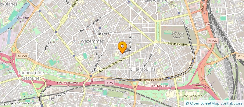 localisation de l'entreprise BILO CHAUFFEUR PRIVE à LILLE