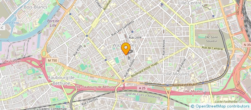 localisation de l'entreprise BINELLI-PICQUE à LILLE