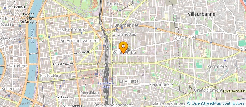 localisation de l'entreprise BIO NETT SERVICES à LYON