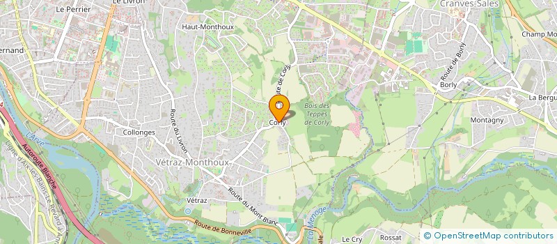 localisation de l'entreprise BIOM  VETRAZ-MONTHOUX