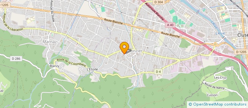localisation de l'entreprise BIOTECH DENTAL MANUFACTURING  SCIONZIER