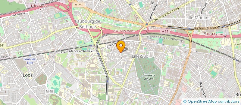 localisation de l'entreprise BIQUET à LILLE