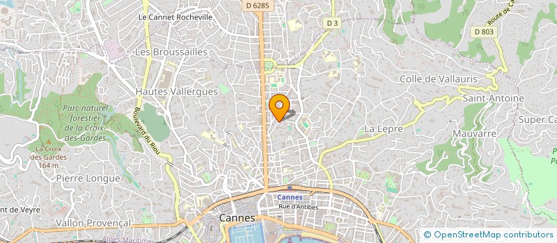 localisation de l'entreprise BIRD OF PARADISE POLE DANCE STUDIO CANNES  CANNES