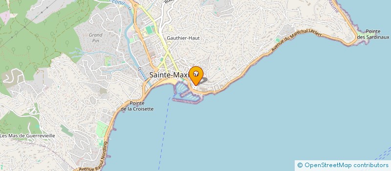 localisation de l'entreprise BIRD PROJECTS à SAINTE-MAXIME