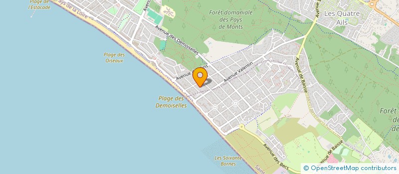 localisation de l'entreprise BIRDIE  SAINT-JEAN-DE-MONTS