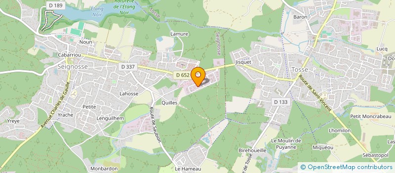 localisation de l'entreprise BIRDS  SEIGNOSSE