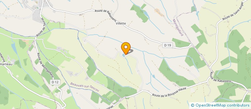 localisation de l'entreprise BIRMO  MONTGAILLARD