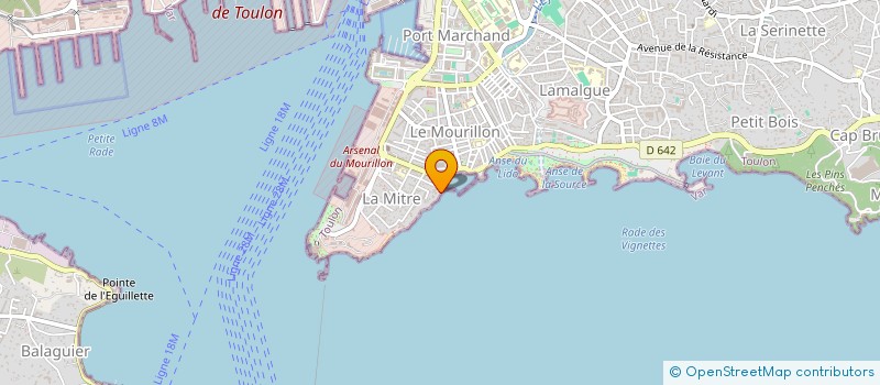 localisation de l'entreprise BISMUTH, INC.  TOULON