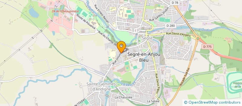 localisation de l'entreprise BIZ BIZ à SEGRE-EN-ANJOU BLEU